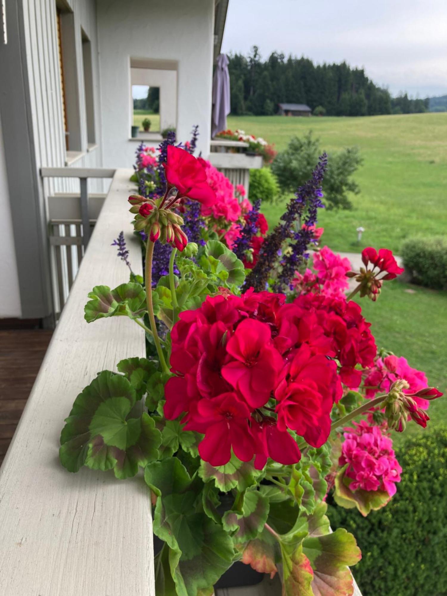 Ferienwohnungen Allgaeu-Bodensee Sigmarszell Dış mekan fotoğraf